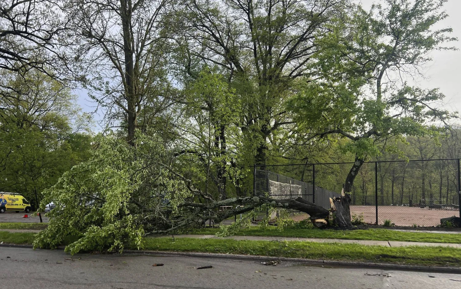 Tree service Moore OK storm and removal work on residential lots