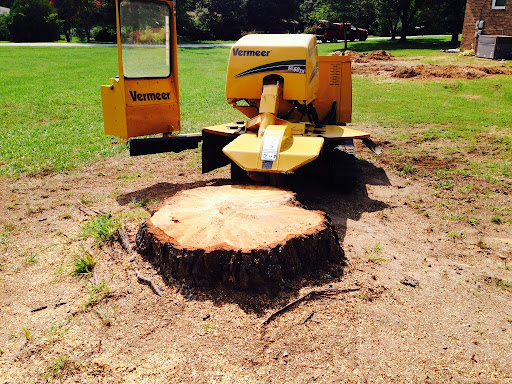 Stump grinding in Edmond OK after tree removal